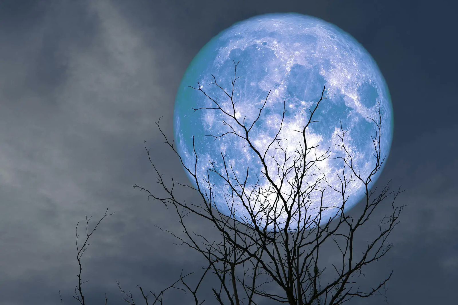 Fenomena Super Blue Moon Waspada Banjir Rob Di Pesisir Kepri