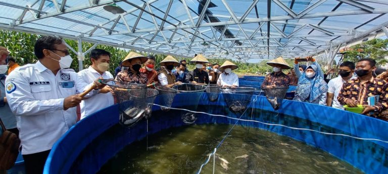 Kampung Lele di Kota Prabumulih (1)