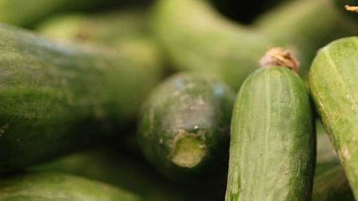 221ee4c37946d3b47bcf89d5e93dbc58