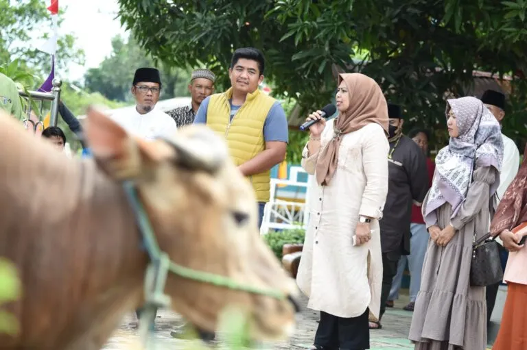 IMG-20220709-WA0110-768x511