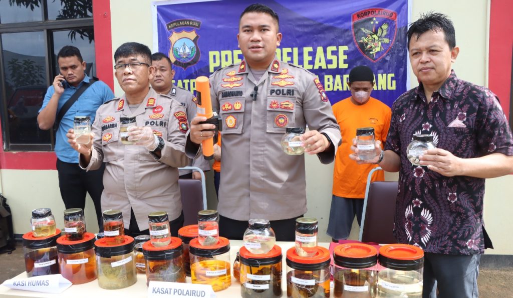 WhatsApp-Image-2022-08-26-at-12.53.38