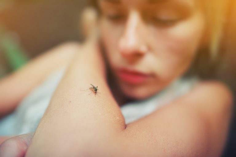 Mosquito,Sits,On,Human,Skin.,Pain,,Danger,Of,Infection.,Dangerous