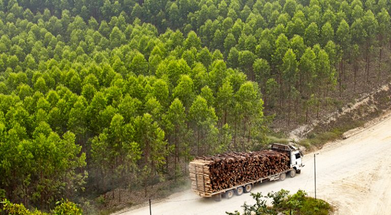 Web Thumbnail 800x440