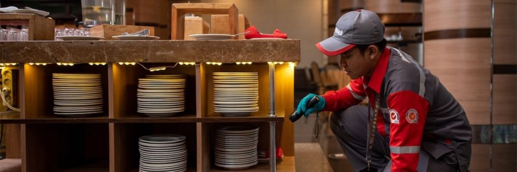 main_img-rentokil-indonesia-banner-hp