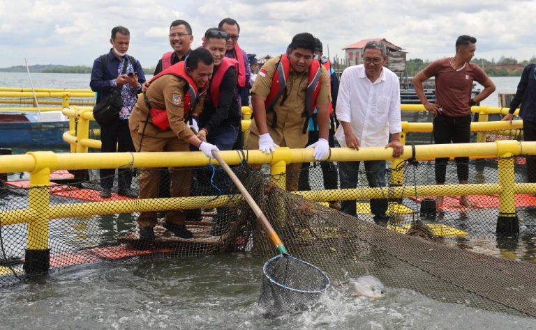 WhatsApp Image 2022-10-31 at 18.24.59