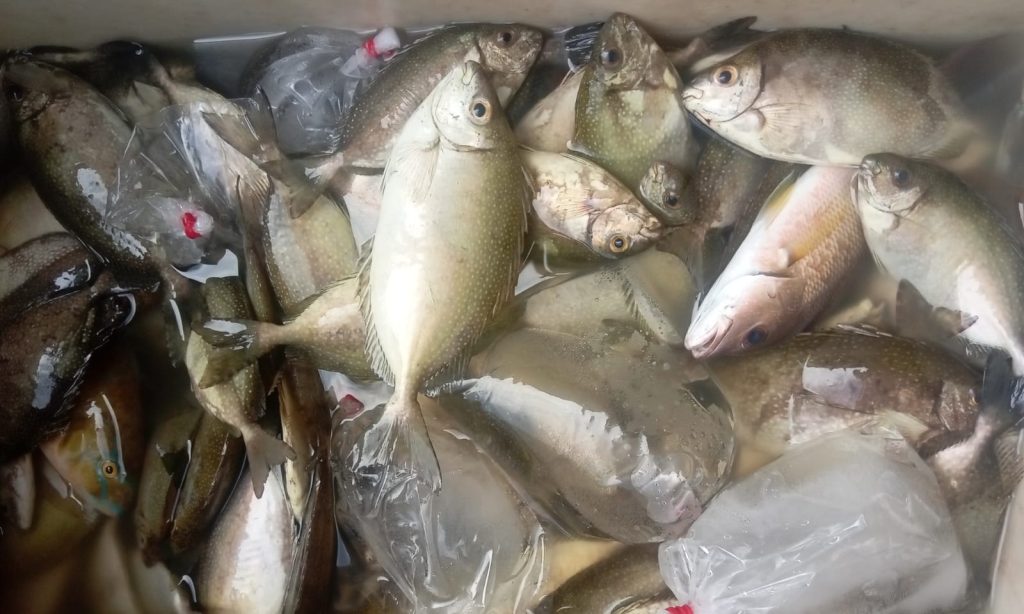 WhatsApp Image 2023-01-17 at 13.43.49