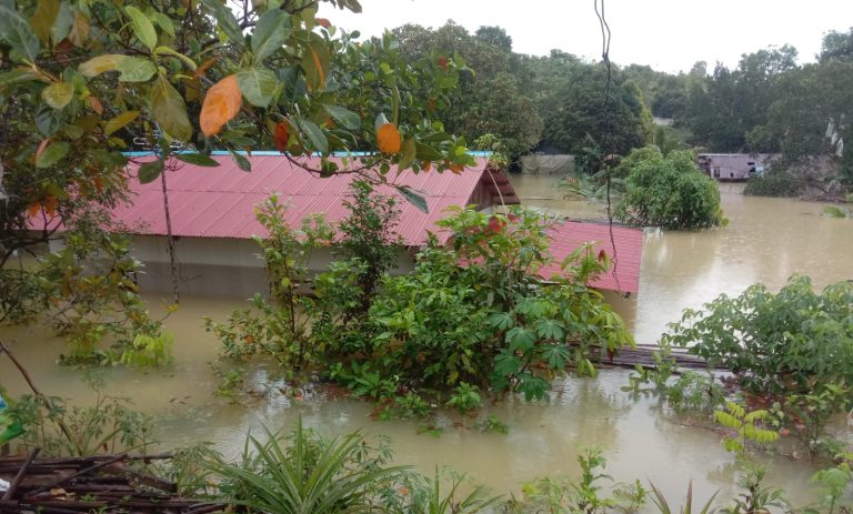 WhatsApp Image 2023-03-01 at 09.42.31 (1)