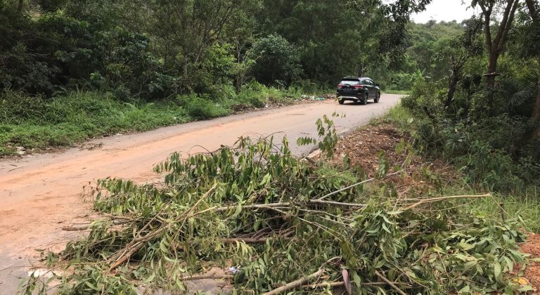 WhatsApp Image 2023-03-06 at 13.25.52