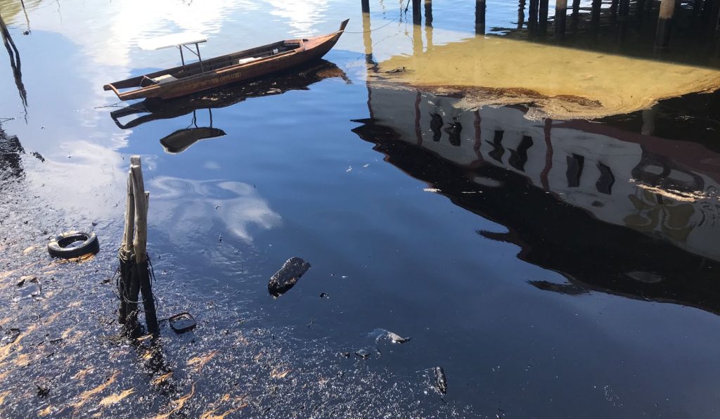 WhatsApp Image 2023-05-03 at 12.28.19