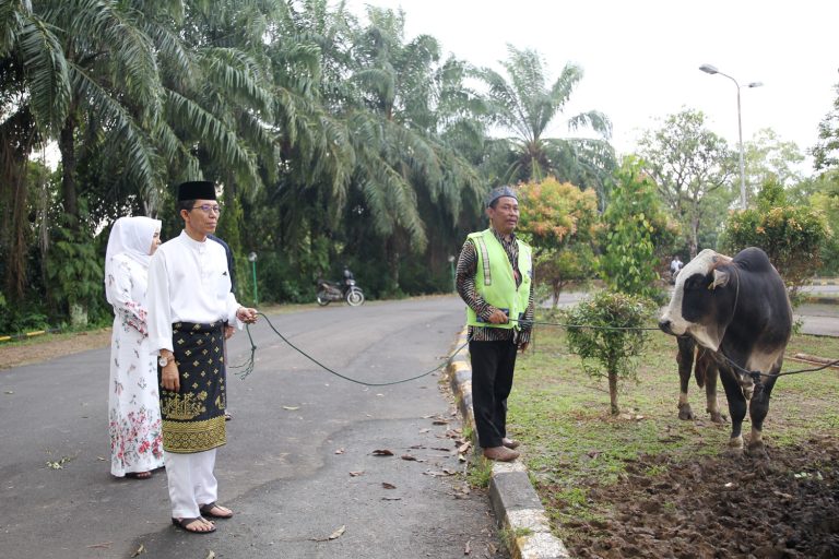 WhatsApp Image 2023-06-29 at 12.04.54