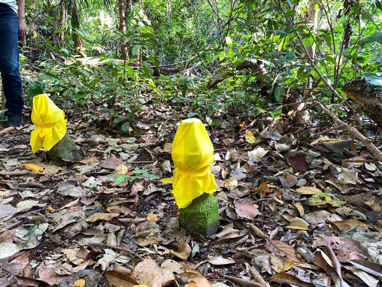 WhatsApp-Image-2023-10-15-at-11.06.29