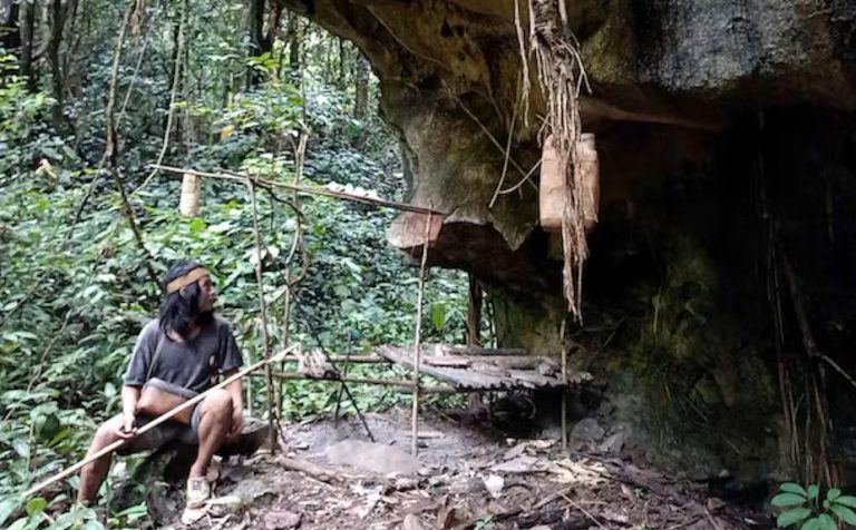 file-20231205-21-fi9npk