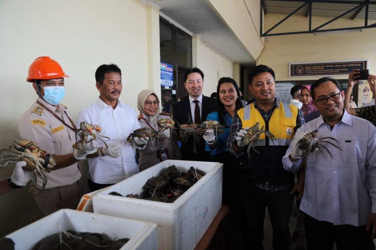 WhatsApp Image 2024-02-01 at 07.57.22