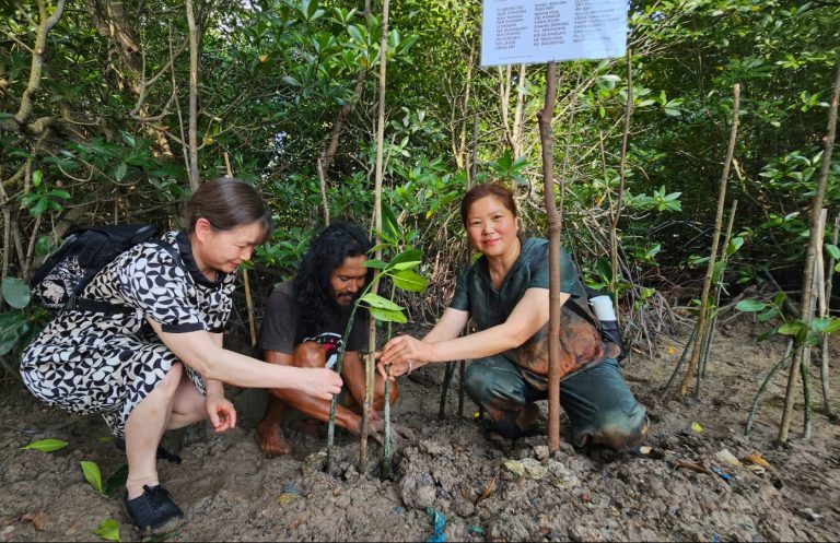 WhatsApp Image 2024-04-05 at 10.35.10 AM