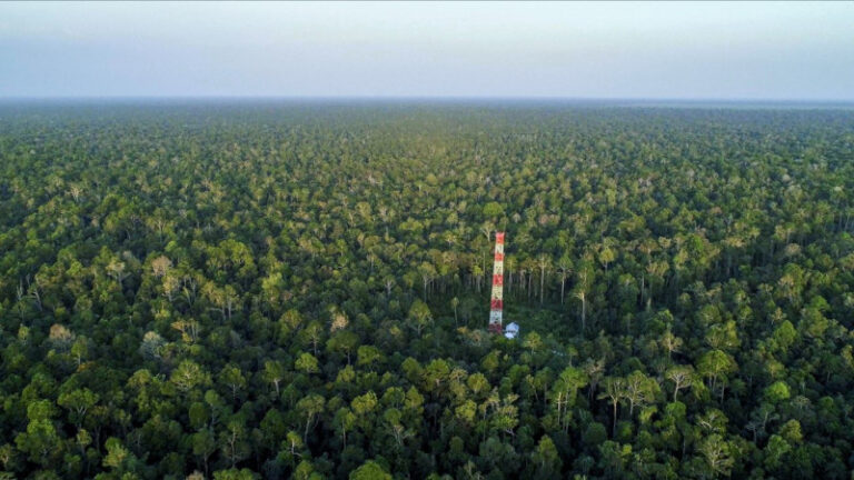 rer-tower-ghg-carbon