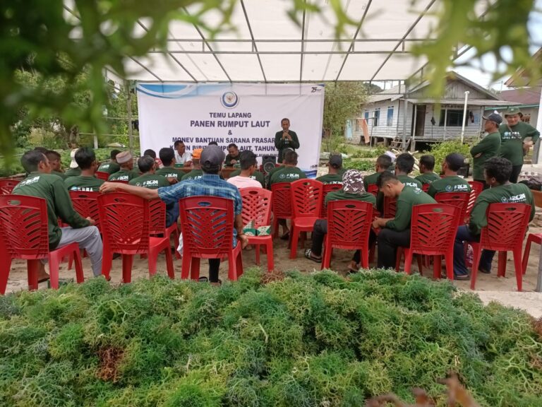 WhatsApp Image 2024-09-02 at 15.54.48