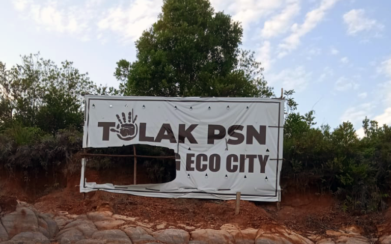 WhatsApp Image 2024-09-13 at 08.46.38