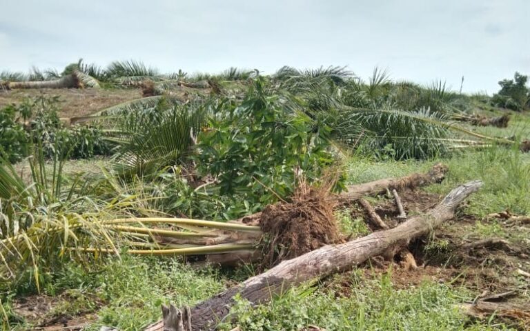 WhatsApp Image 2025-05-02 at 14.20.18nnn