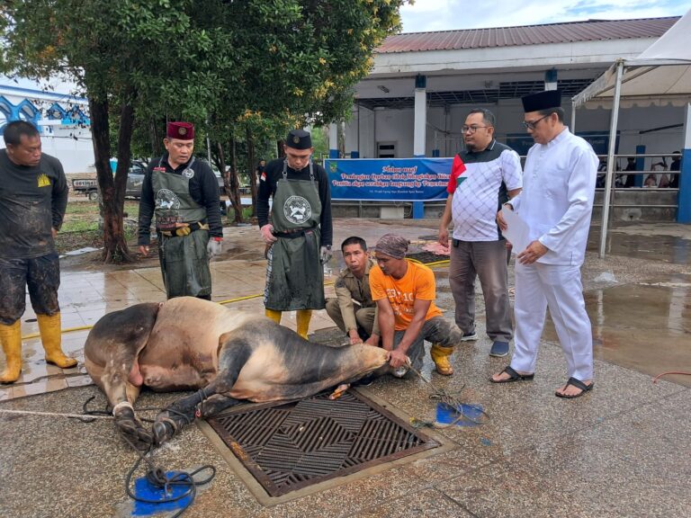 4dedea11-ad49-473c-986c-4483c8c1ee78