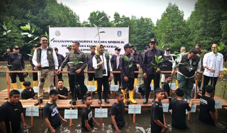 WhatsApp Image 2025-06-20 at 19.21.01 (1)